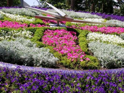 p_floresyplantas