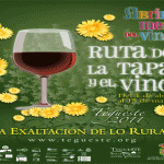 CartelRuta_2011_web1
