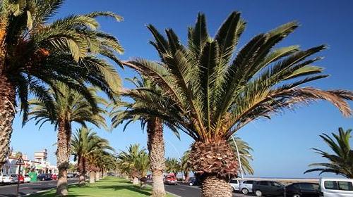 Morro Jable - Fuerteventura